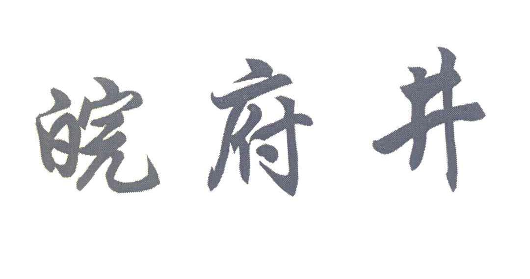皖府井