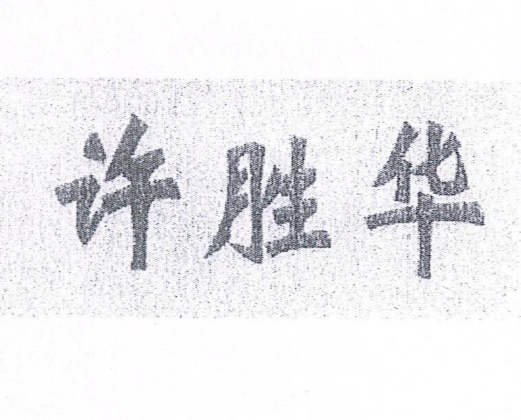许胜华