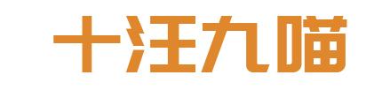 十汪九喵