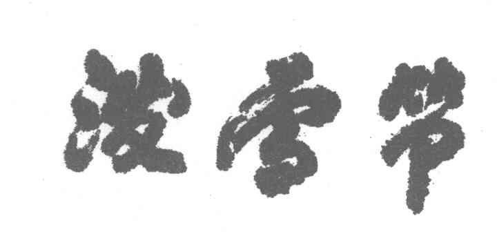 泼雪节