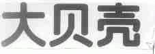 大贝壳