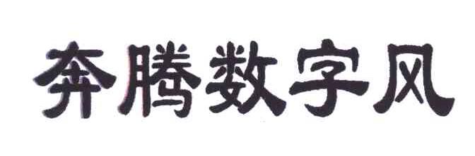 奔腾数字风