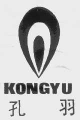 孔羽
