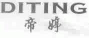 帝婷