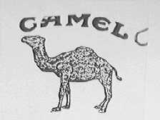 CAMEL