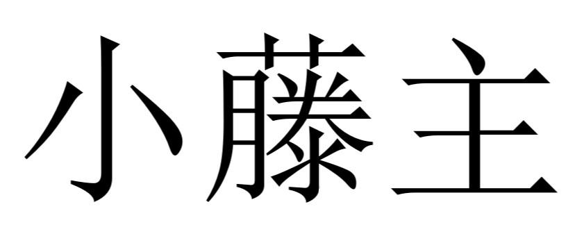小藤主