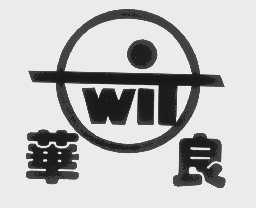 华良   WIT