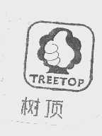 树顶   TREETOP