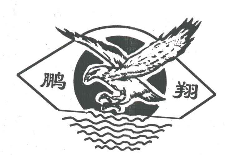 鹏翔