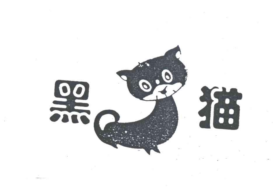 黑猫及图形