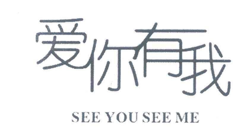 爱你有我 SEE YOU SEE ME