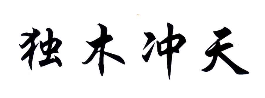 独木冲天