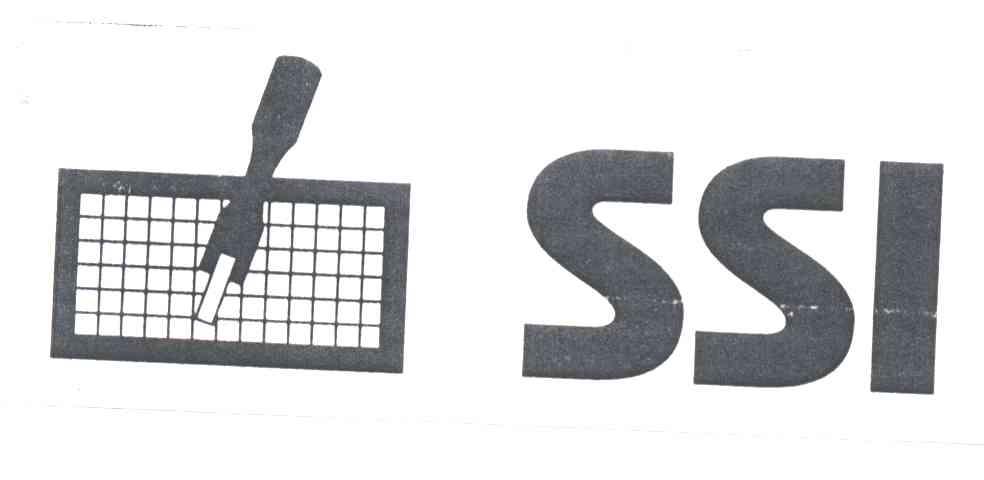 SSI及图