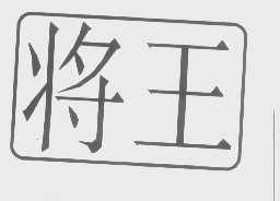 将王