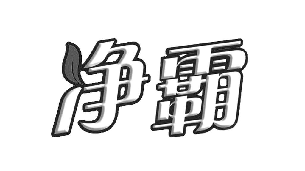 净霸