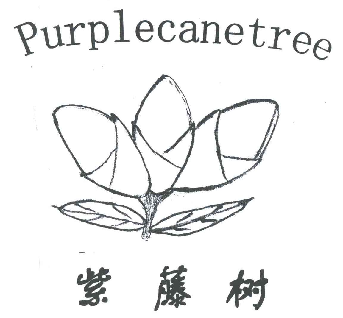 紫藤树;PURPLECANETREE及图形