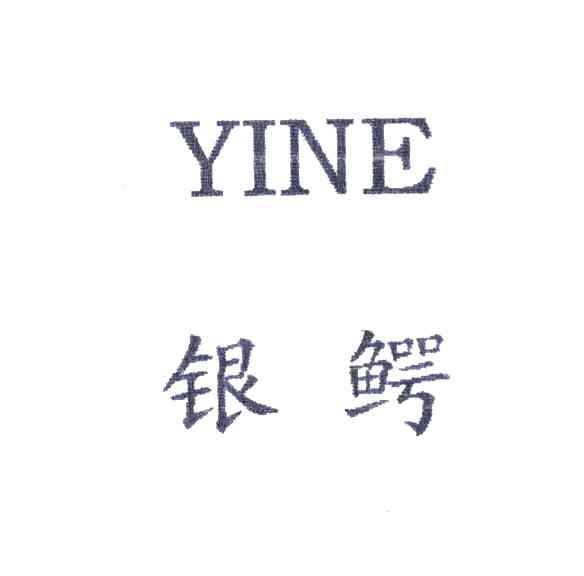 银鳄