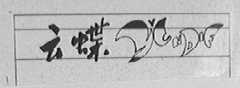 云蝶