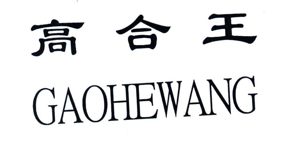 高合王