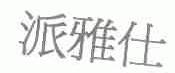派雅仕