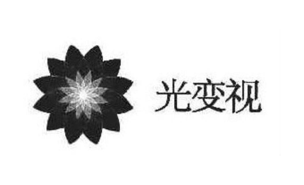 光变视