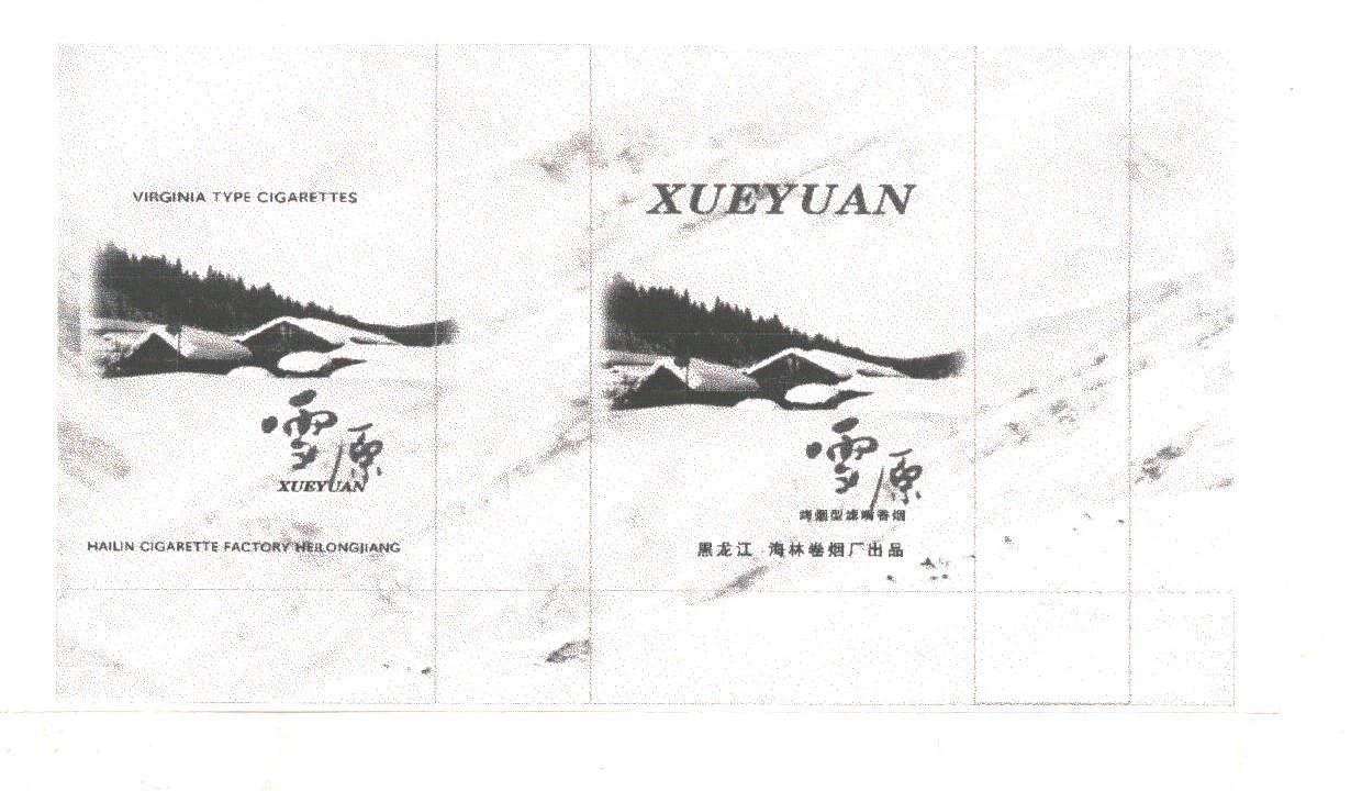 雪原