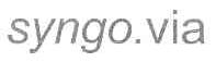 SYNGO.VIA