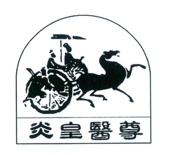 炎皇医尊