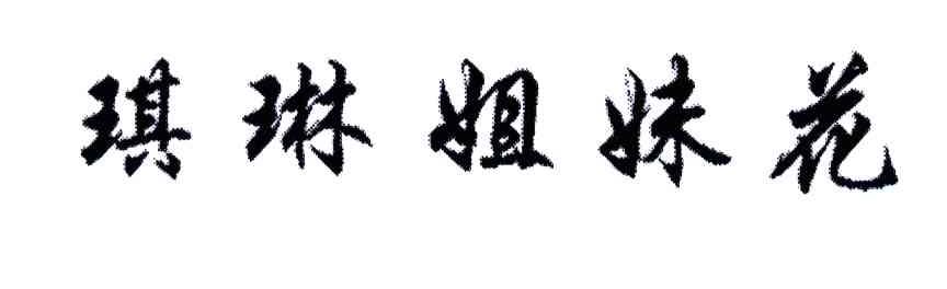 琪琳姐妹花