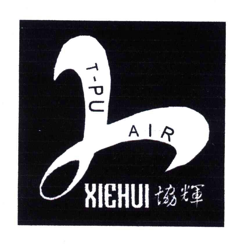 协辉;T-PU AIR及图形