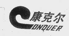 康克尔   CONQUER