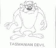 TASMANIAN DEVIL