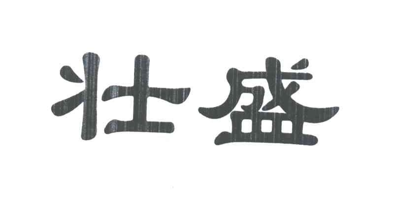 壮盛