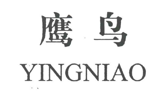 鹰鸟
