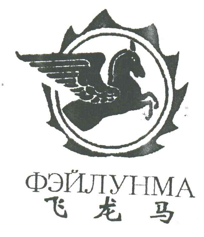 飞龙马及图形