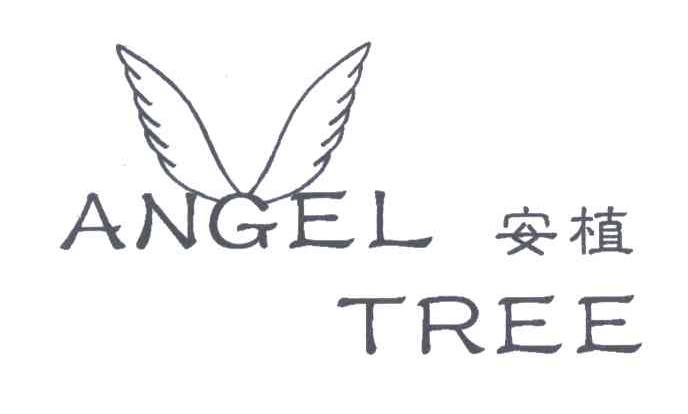 安植;ANGEL TREE