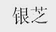 银芝