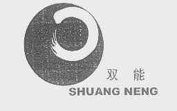 双能