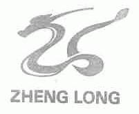 ZHENG LONG