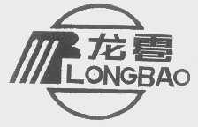 龙雹
