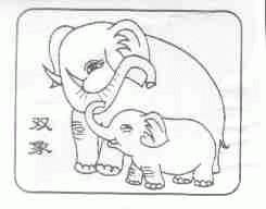 双象