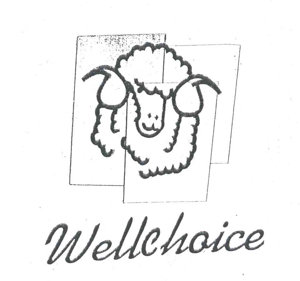 WELLCHOICE