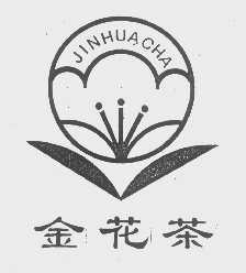 金花茶
