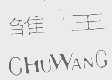 雏王
