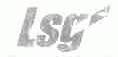 LSG