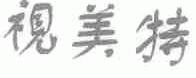 视美特