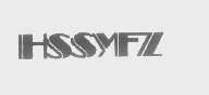 HSSYFZ
