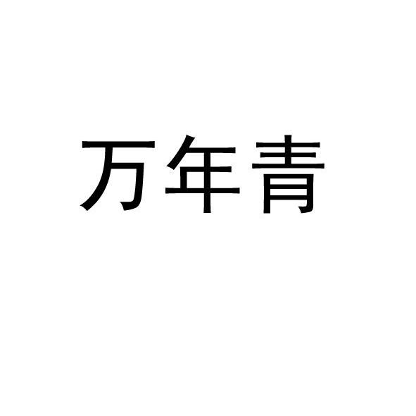 万年青