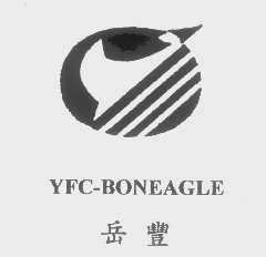 岳丰   YFC-BONEAGLE