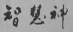 智慧神